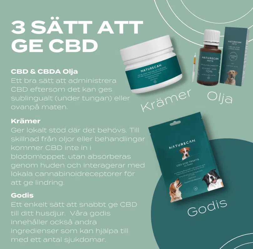 hund cbd produkter